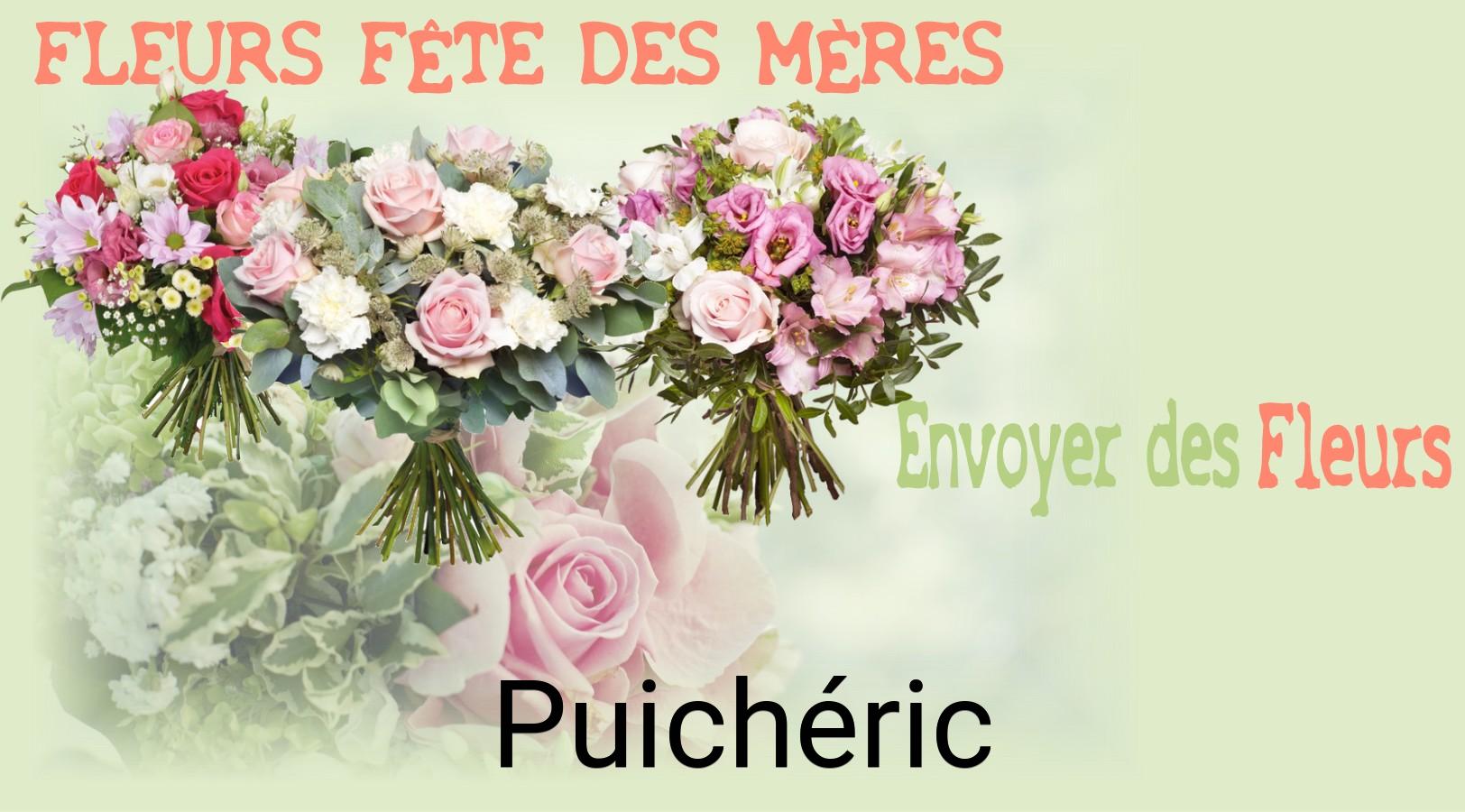 Bouquet de Fête des Mères livré à Puichéric